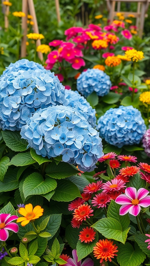 A vibrant garden featuring blue hydrangeas surrounded by colorful perennials like zinnias and daisies.