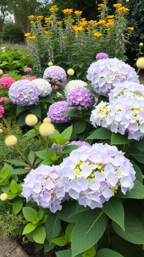A vibrant flower bed featuring various colors of hydrangeas, including lavender, pink, and white, alongside yellow flowers in the background.
